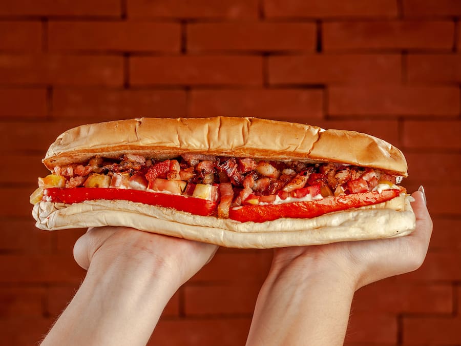Dog bacon bigg - 25cm