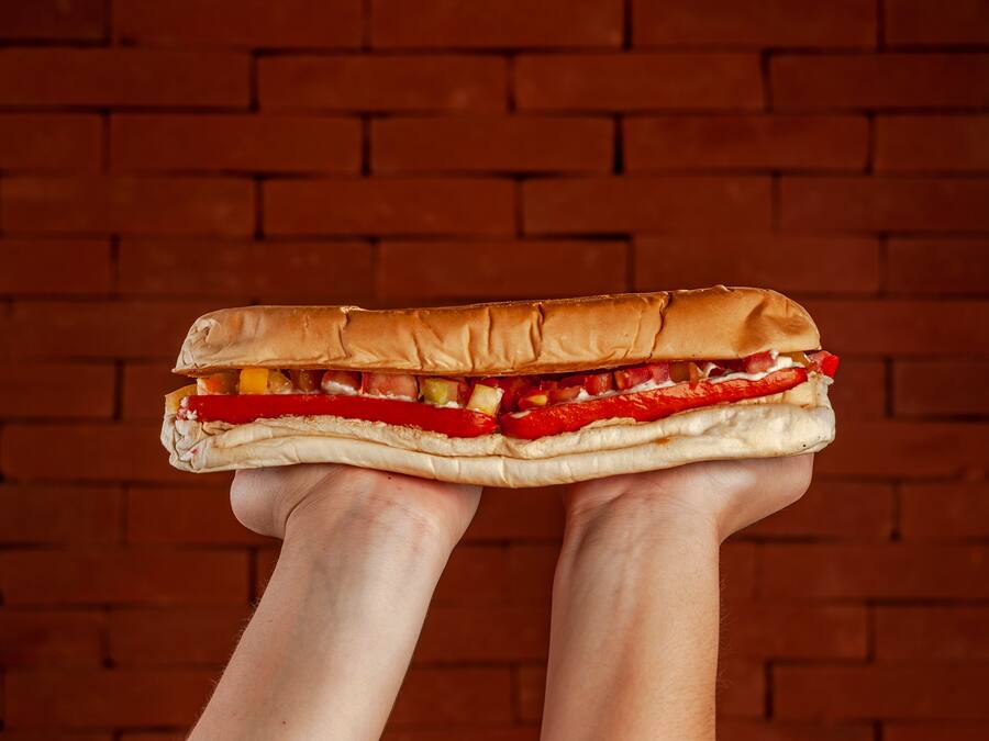 Dog bigg - 25cm